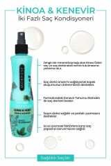 Çift Fazlı Kinoa İçeren Fön Suyu 240 ml