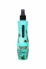 Çift Fazlı Kinoa İçeren Fön Suyu 240 ml
