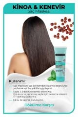 Kinoa Saç Maskesi 75 ml - Dökülme Karşıtı