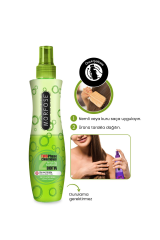 Morfose Çift Fazlı Fön Suyu Biotin 240 ml